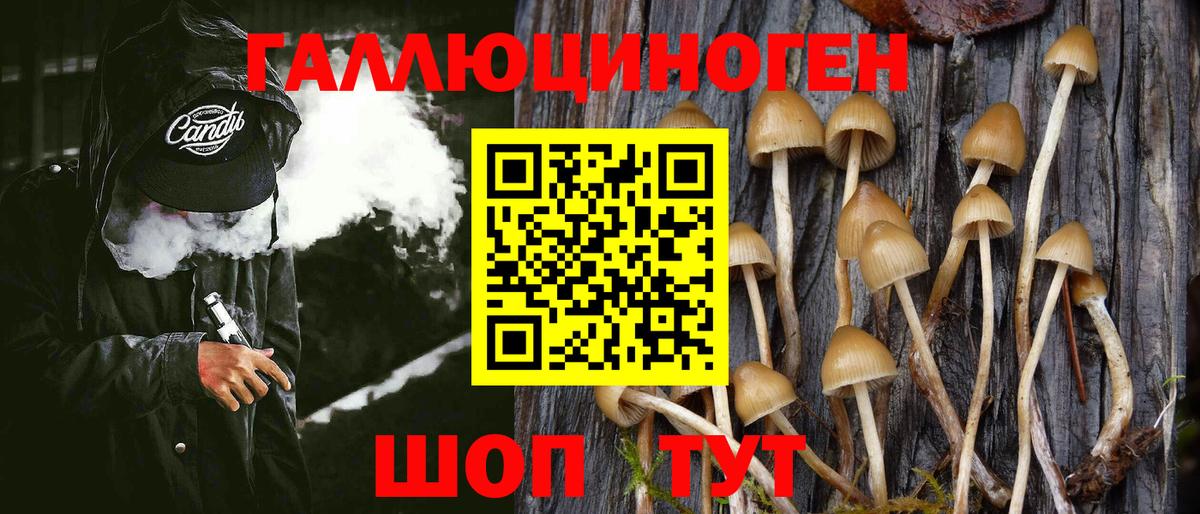 Тимашёвск  Галлюциногенные грибы Magic Shrooms  Вход с VPN 